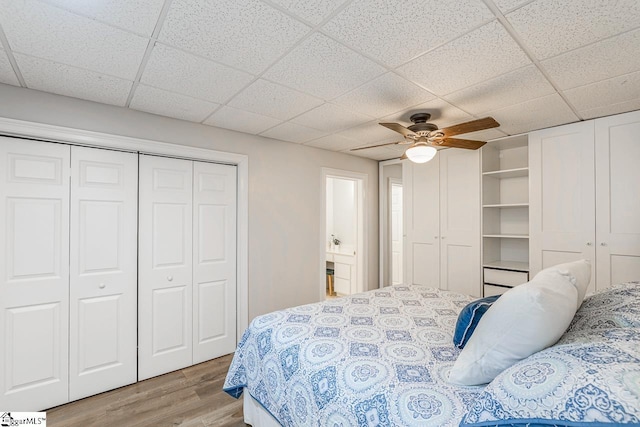 290 Coves End Pt, Seneca, SC 29678 - bedroom with wood finished floors, a paneled ceiling, and ceiling fan