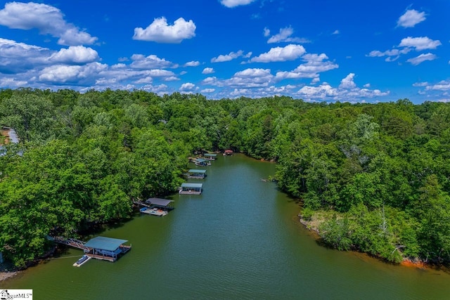 290 Coves End Pt, Seneca, SC 29678 - bird's eye view of a forest and a large body of water