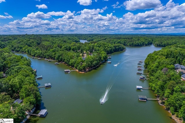290 Coves End Pt, Seneca, SC 29678 - drone / aerial view of a heavily wooded area and a large body of water