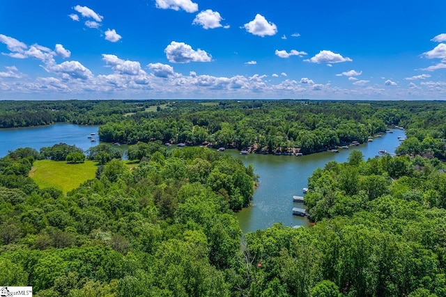 290 Coves End Pt, Seneca, SC 29678 - bird's eye view of a heavily wooded area and a large body of water