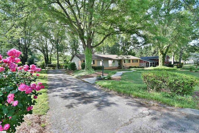 200 Lavonne Ave, Easley, SC 29642 - view of asphalt driveway