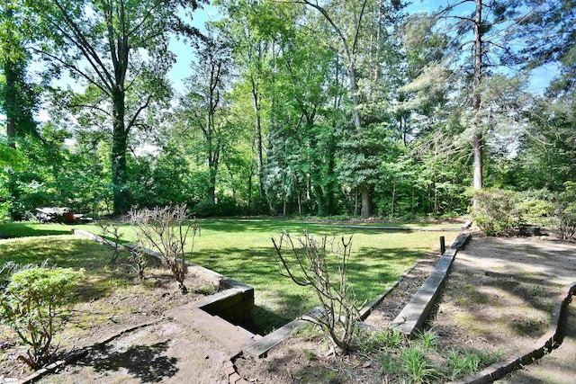 200 Lavonne Ave, Easley, SC 29642 - view of grassy yard