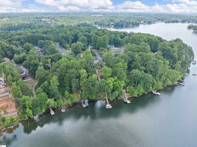 702 Lakewinds Blvd, Inman, SC 29349 - aerial view of property and surrounding area with a large body of water