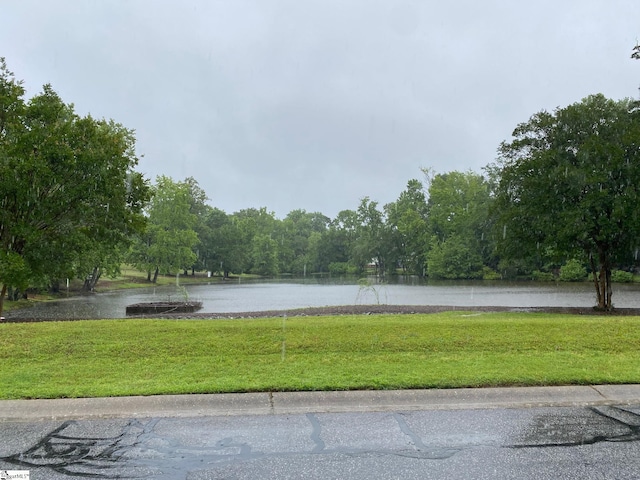 water view with a heavily wooded area