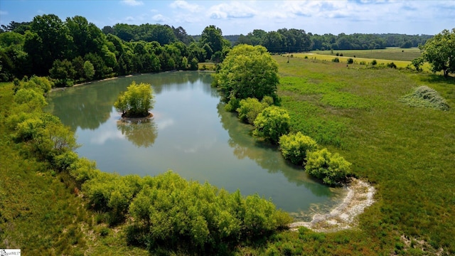 bird's eye view of a nearby body of water and a forest