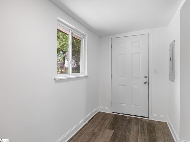 7 Williams St, Spartanburg, SC 29301 - doorway to outside with dark wood-type flooring, electric panel, and baseboards