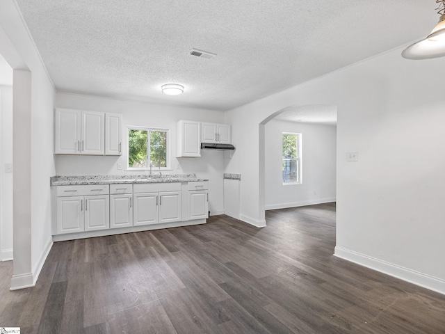 7 Williams St, Spartanburg, SC 29301 - kitchen with arched walkways, healthy amount of natural light, white cabinets, dark wood-style floors, and a textured ceiling