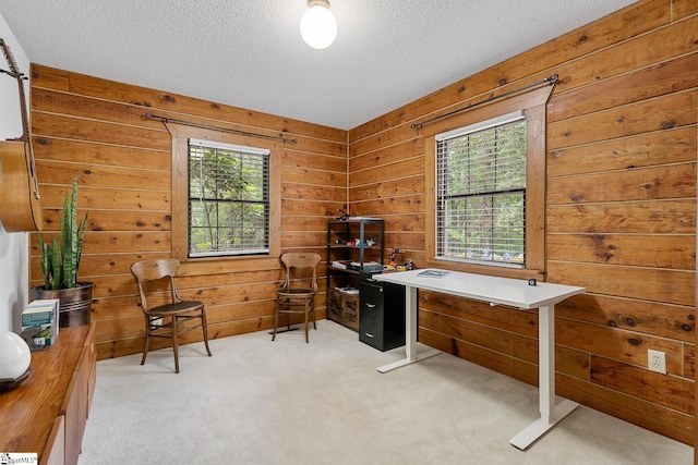 office space featuring plenty of natural light, light carpet, a textured ceiling, and wooden walls