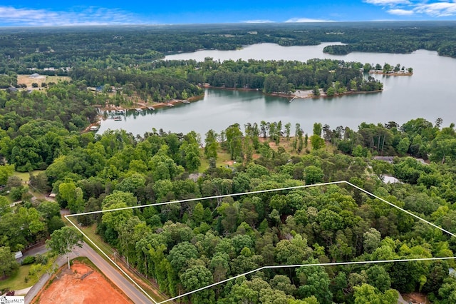 view of property location with a heavily wooded area, a large body of water, and property boundaries highlighted