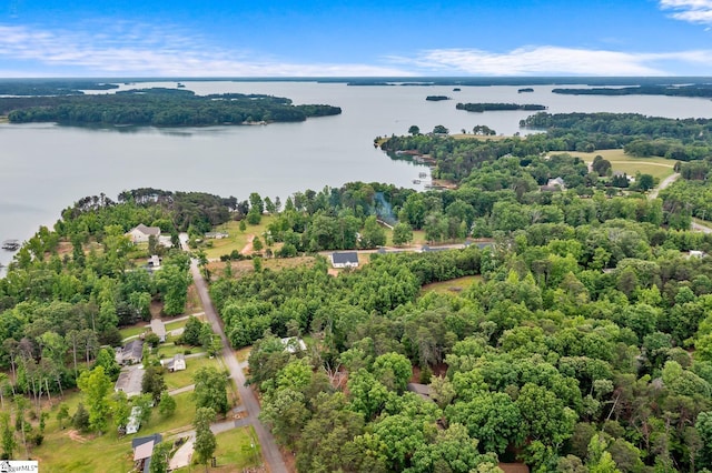 drone / aerial view of a nearby body of water and a forest