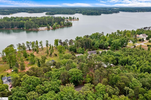 drone / aerial view of a large body of water and a forest