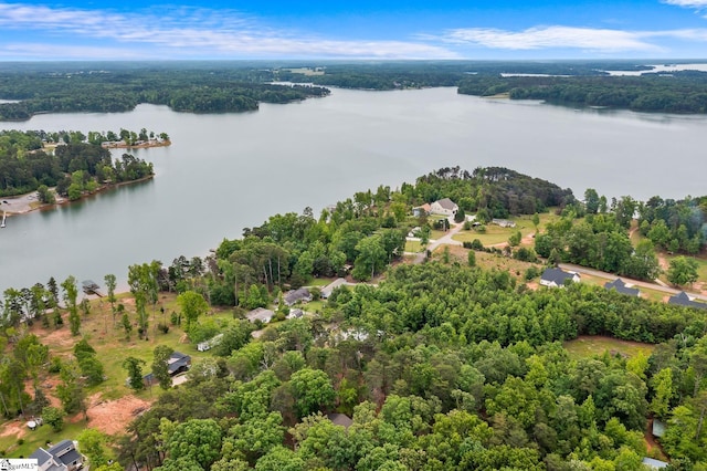 bird's eye view of a large body of water and a forest