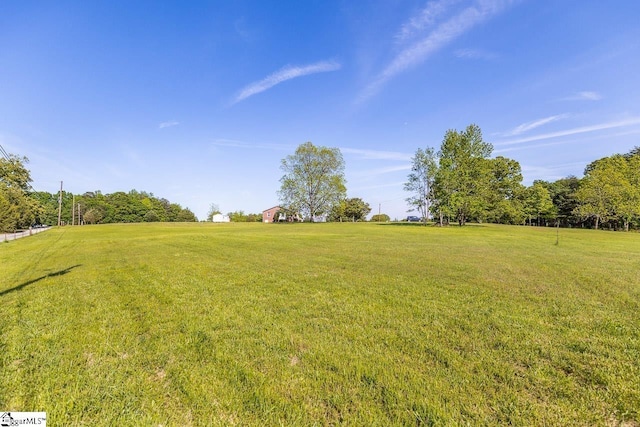 view of green lawn
