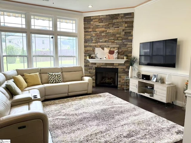 920 Hunterdale Ln, Boiling Springs, SC 29316 - living room with crown molding, a stone fireplace, and dark wood-type flooring