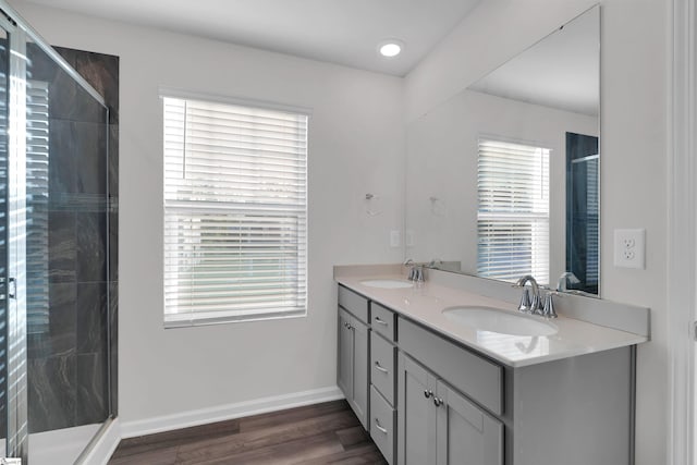 bathroom featuring a shower stall, plenty of natural light, wood finished floors, and double vanity