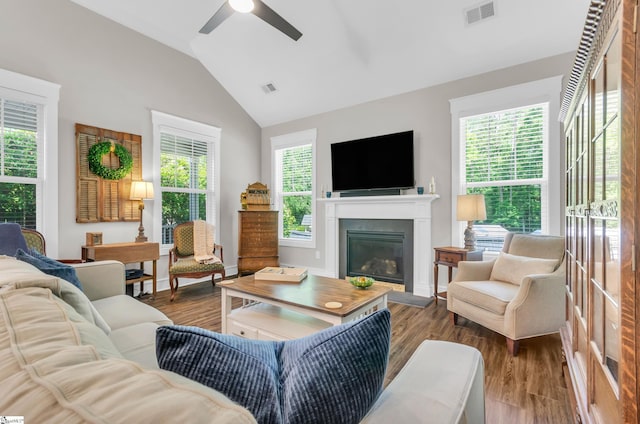 107 Summer Oak Ln, Simpsonville, SC 29680 - living room with ceiling fan, lofted ceiling, a glass covered fireplace, and wood finished floors
