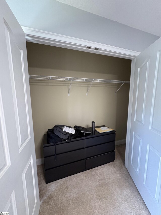 204 Silver Run Ln, Greenville, SC 29607 - view of closet