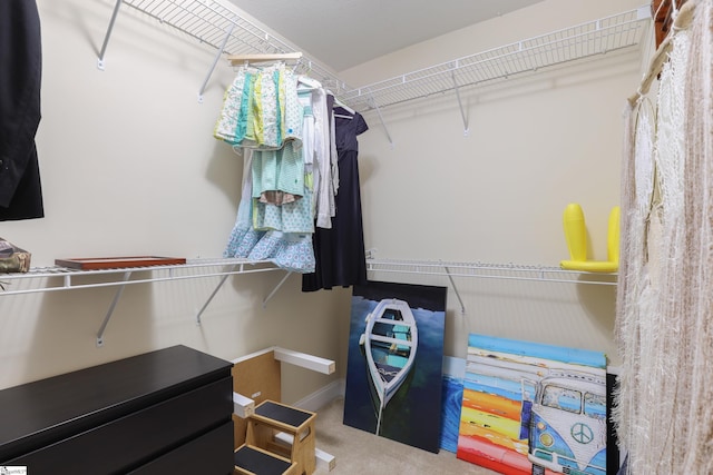 204 Silver Run Ln, Greenville, SC 29607 - walk in closet with carpet
