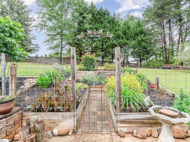 1312 Anderson Hwy, Easley, SC 29642 - view of yard featuring a vegetable garden