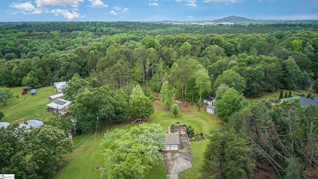 1312 Anderson Hwy, Easley, SC 29642 - aerial view of property and surrounding area featuring a forest