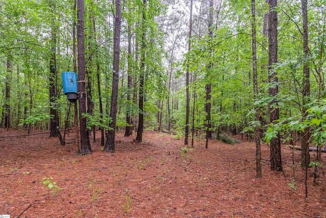 156 Spencer Rd, Jonesville, SC 29653 - view of tree filled area