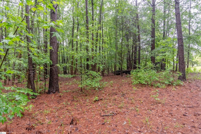 156 Spencer Rd, Jonesville, SC 29653 - view of woods