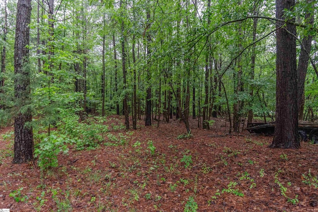 156 Spencer Rd, Jonesville, SC 29653 - view of wooded area