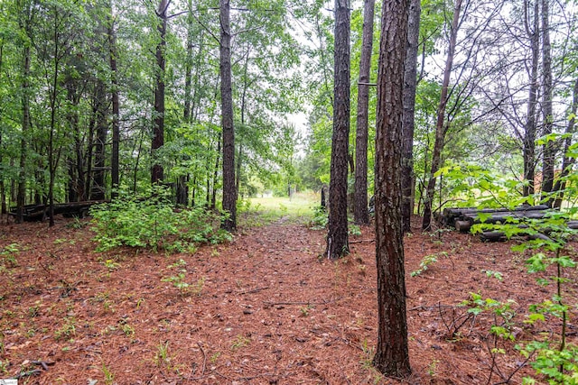 156 Spencer Rd, Jonesville, SC 29653 - view of tree filled area
