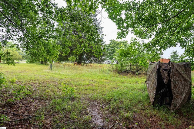 156 Spencer Rd, Jonesville, SC 29653 - view of yard