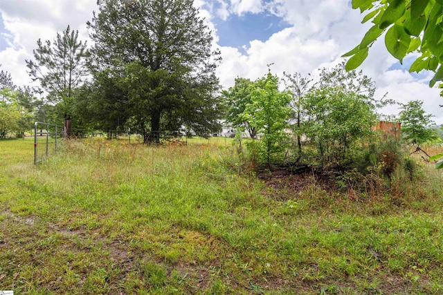 156 Spencer Rd, Jonesville, SC 29653 - view of undeveloped land
