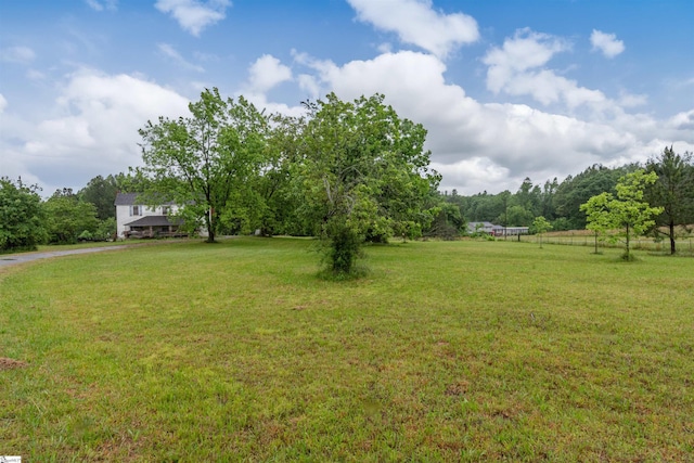 156 Spencer Rd, Jonesville, SC 29653 - view of green lawn