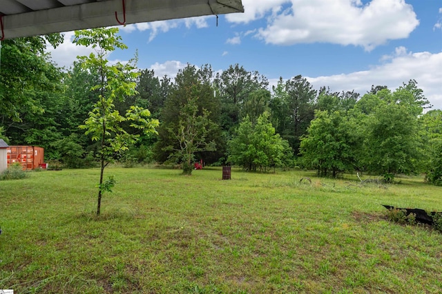 156 Spencer Rd, Jonesville, SC 29653 - view of grassy yard