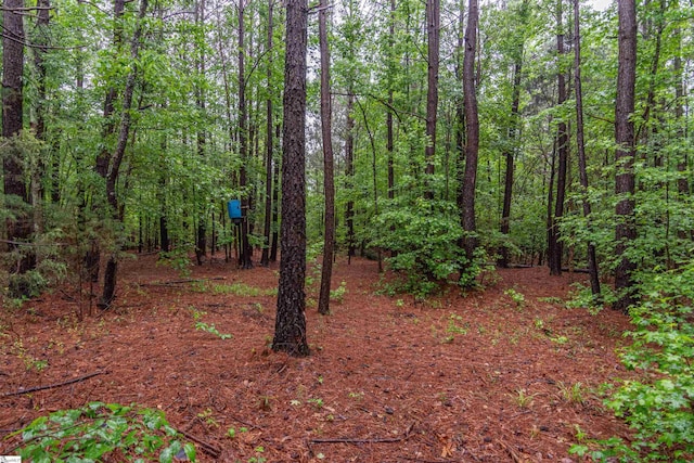 156 Spencer Rd, Jonesville, SC 29653 - view of woods