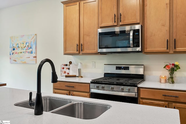 kitchen with appliances with stainless steel finishes and a sink