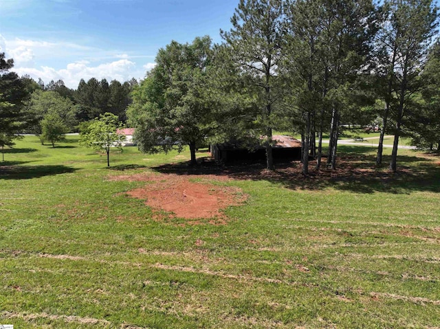 view of grassy yard