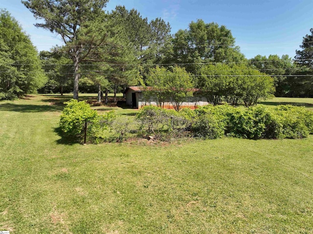 view of green lawn
