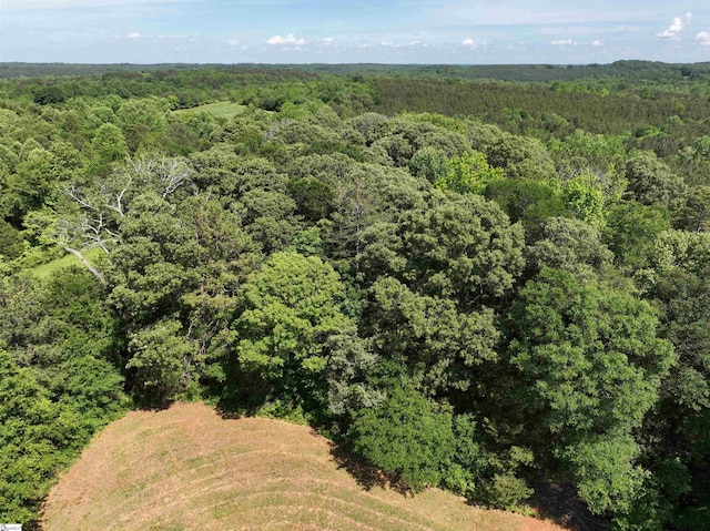 drone / aerial view of a forest