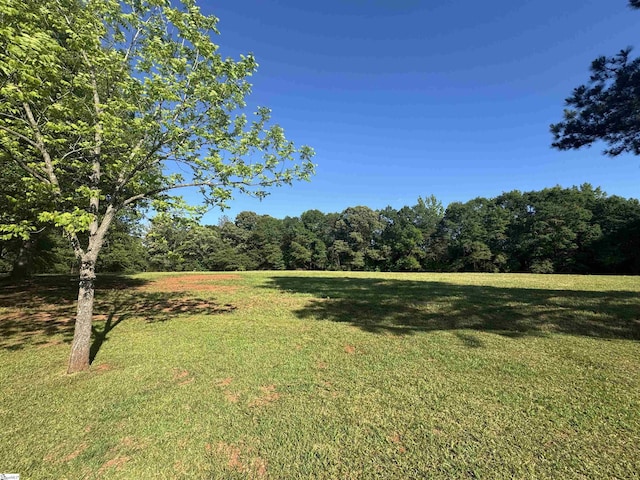 view of green lawn with a view of trees
