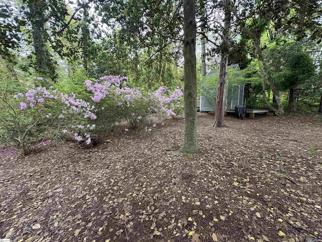 111 Golf View Ln, Greenville, SC 29609 - view of yard