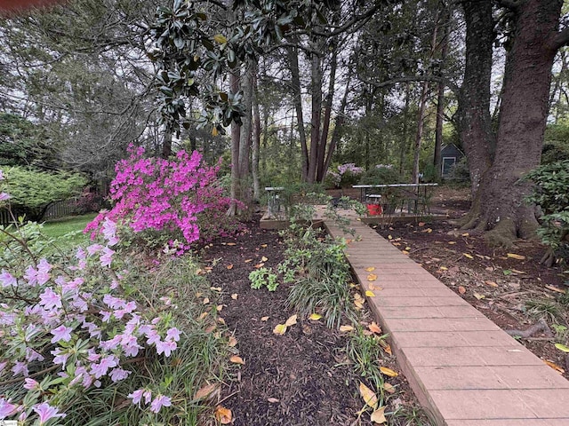 111 Golf View Ln, Greenville, SC 29609 - view of yard