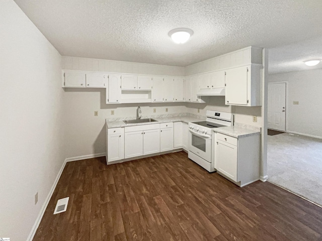245 Rigby Ave, Spartanburg, SC 29306 - kitchen with white electric stove, a sink, under cabinet range hood, baseboards, and a textured ceiling