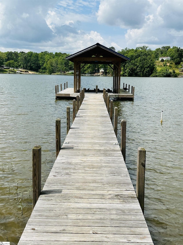 dock with a water view