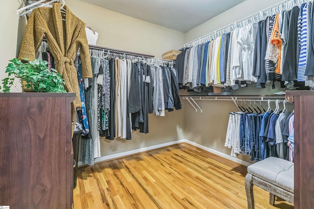 31 Goodwin Farms Ct, Travelers Rest, SC 29690 - walk in closet featuring wood finished floors
