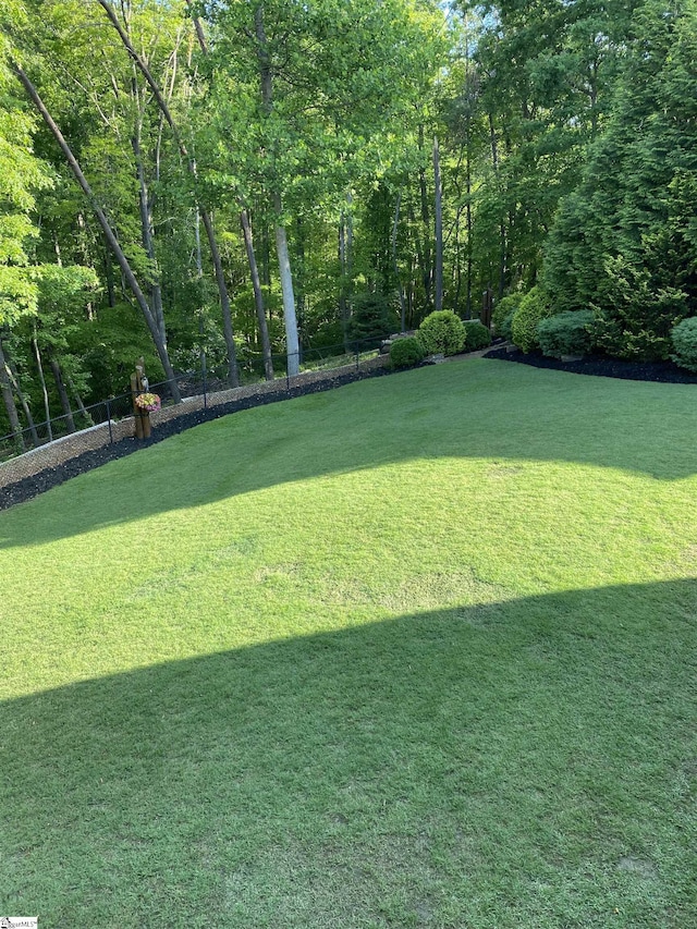 31 Goodwin Farms Ct, Travelers Rest, SC 29690 - view of yard