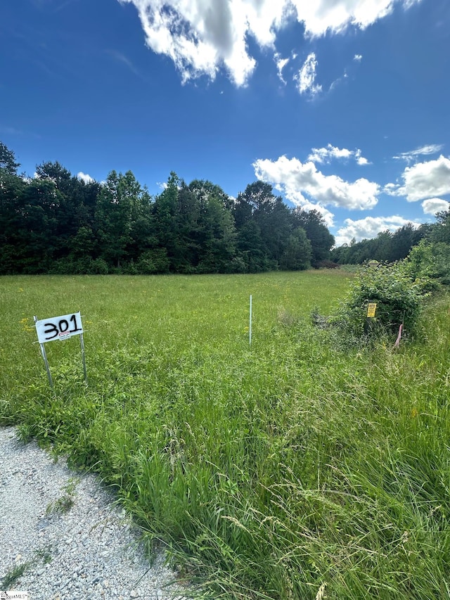 301 Sweet Gum Rd, Cowpens, SC 29307