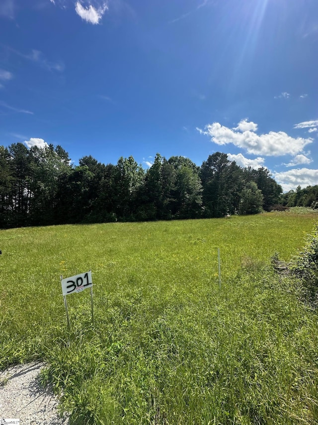 301 Sweet Gum Rd, Cowpens, SC 29307