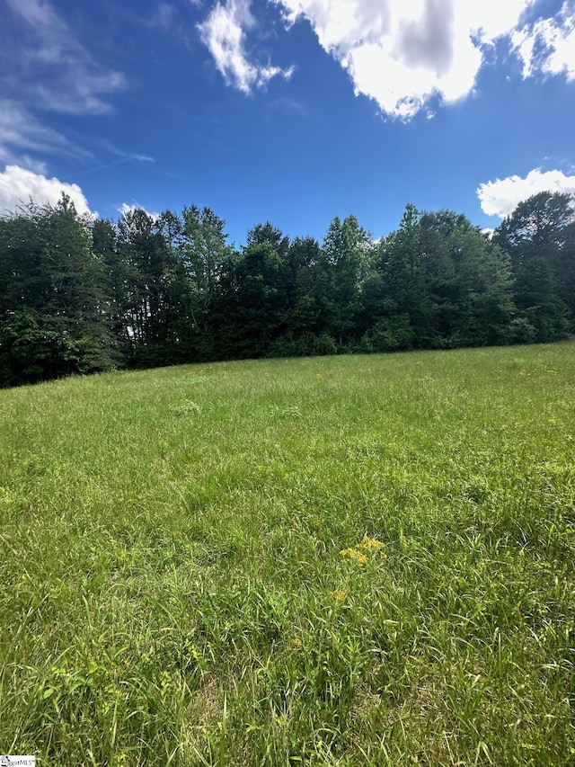 301 Sweet Gum Rd, Cowpens, SC 29307