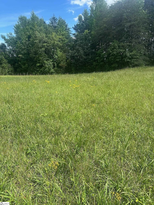 301 Sweet Gum Rd, Cowpens, SC 29307