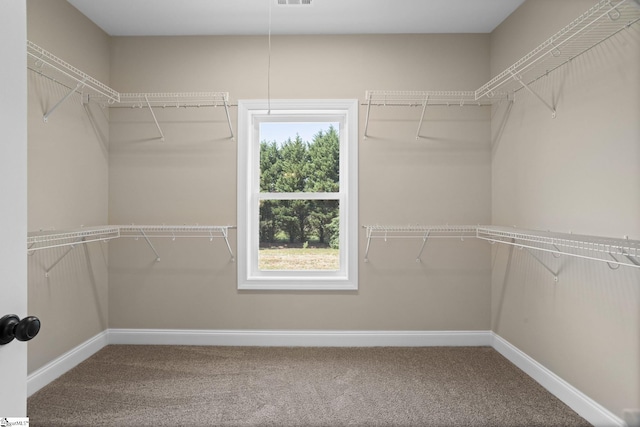 21 Old American Blvd, Pendleton, SC 29670 - walk in closet featuring carpet floors