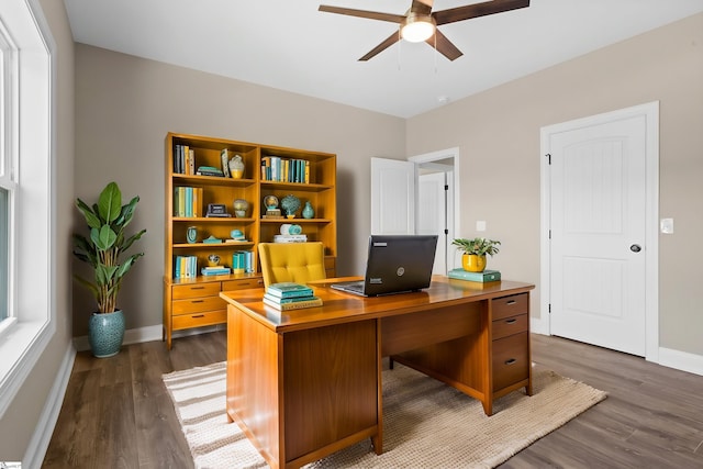 21 Old American Blvd, Pendleton, SC 29670 - home office with ceiling fan, dark wood-style flooring, and baseboards